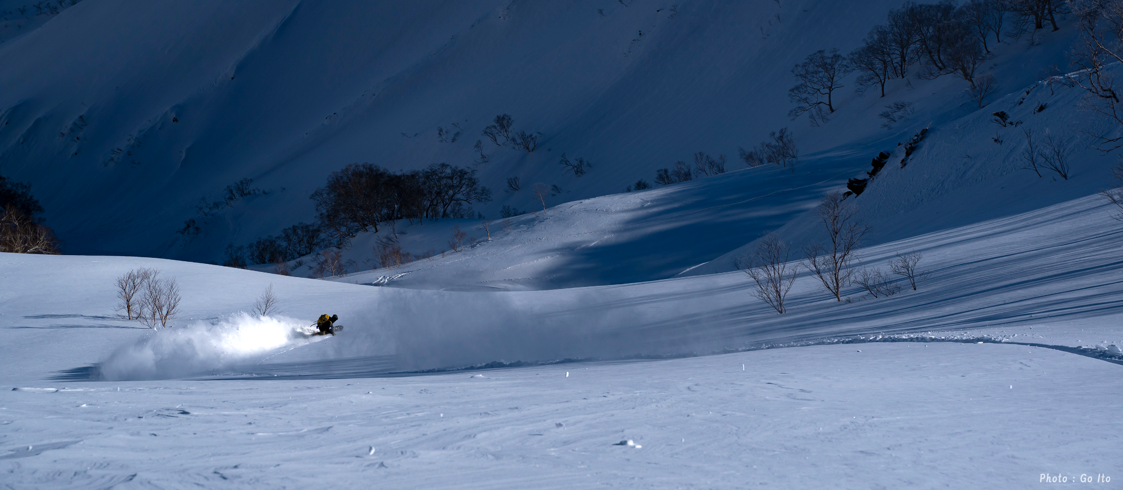 toppageimage10-naoki-goito1.png